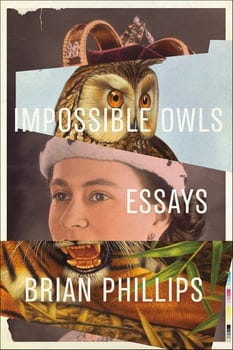 impossible-owls-254623-1