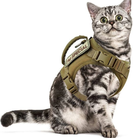 ohyes-tactical-cat-harness-for-walking-escape-proof-soft-mesh-adjustable-pet-vest-harness-for-large--1
