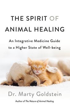 the-spirit-of-animal-healing-1326159-1