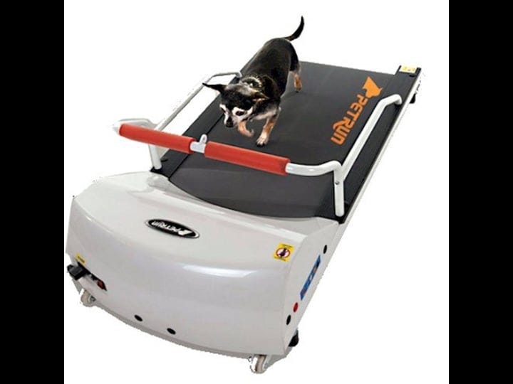 gopet-pr700-petrun-dog-treadmill-1
