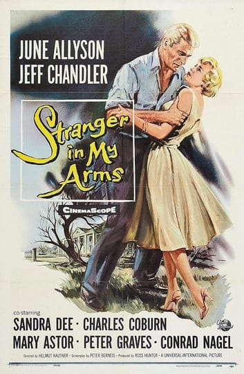 a-stranger-in-my-arms-4308776-1