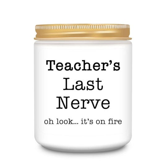 homsolver-teacher-appreciation-gifts-best-teacher-gifts-for-women-funny-teacher-christmas-gifts-birt-1