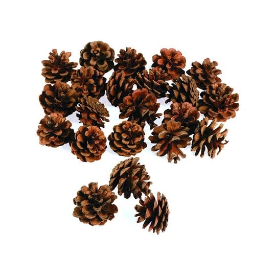 bag-of-pinecones-craft-supplies-24-pieces-41-1498-1