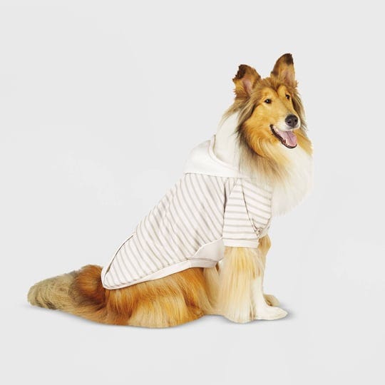 boots-barkley-lightweight-stripe-dog-hoodie-large-target-1