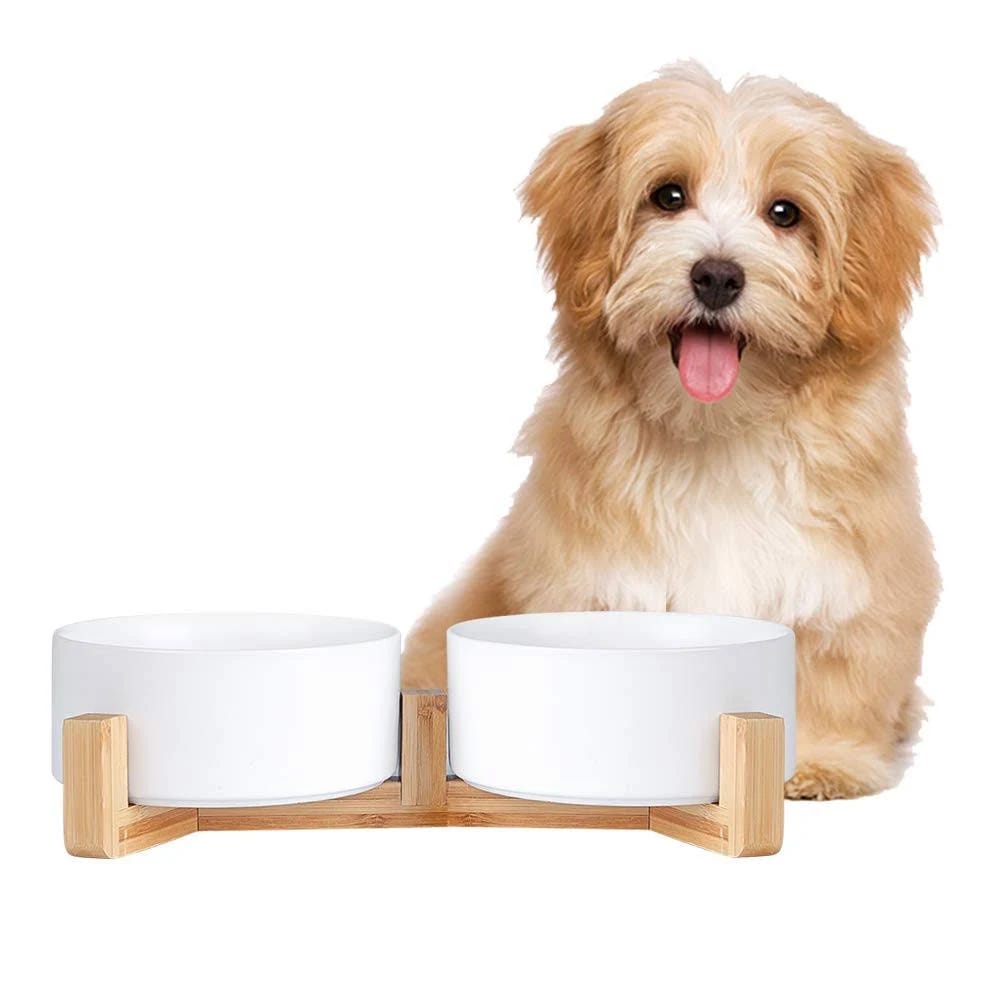 Non-Slip Dog Bowl Stand for Medium-Sized Dogs | Image