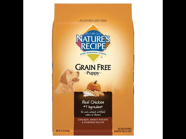 natures-recipe-grain-free-puppy-chicken-sweet-potato-pumpkin-dry-dog-food-12lb-1