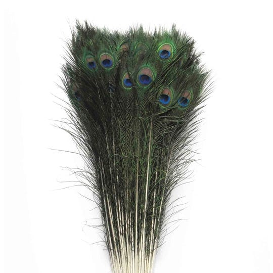 events-and-crafts-30-inch-peacock-feather-1