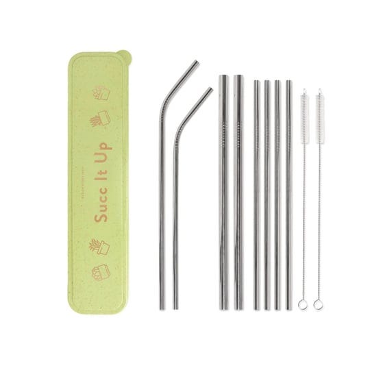 designworks-stainless-steel-straw-set-succ-it-up-1