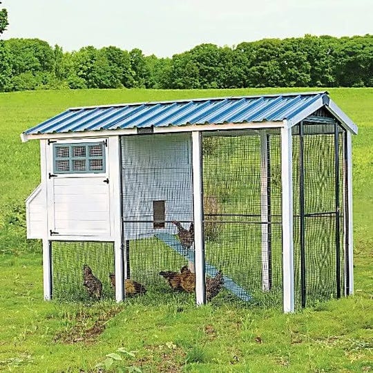 producers-pride-walk-in-chateau-chicken-coop-14-chicken-capacity-1