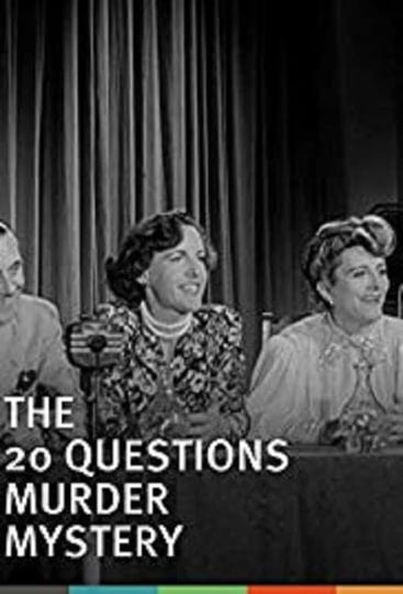the-20-questions-murder-mystery-5991270-1
