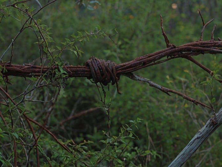 Barbed-Wire-6