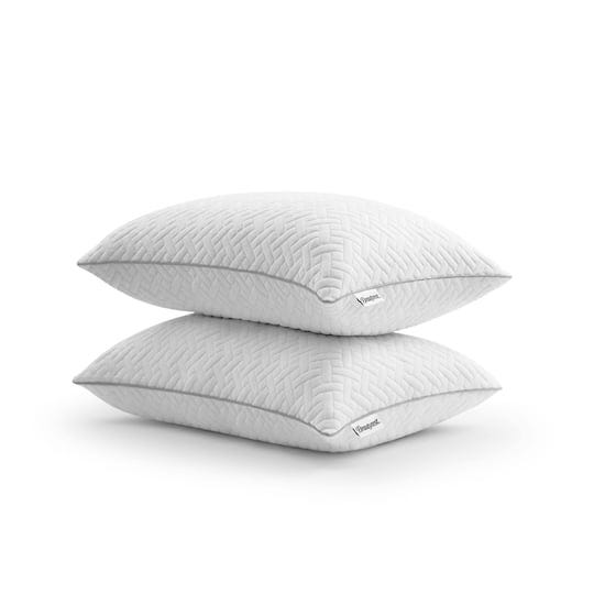 beautyrest-luxury-spa-down-bed-pillow-2-pack-standard-queen-down-alternative-1