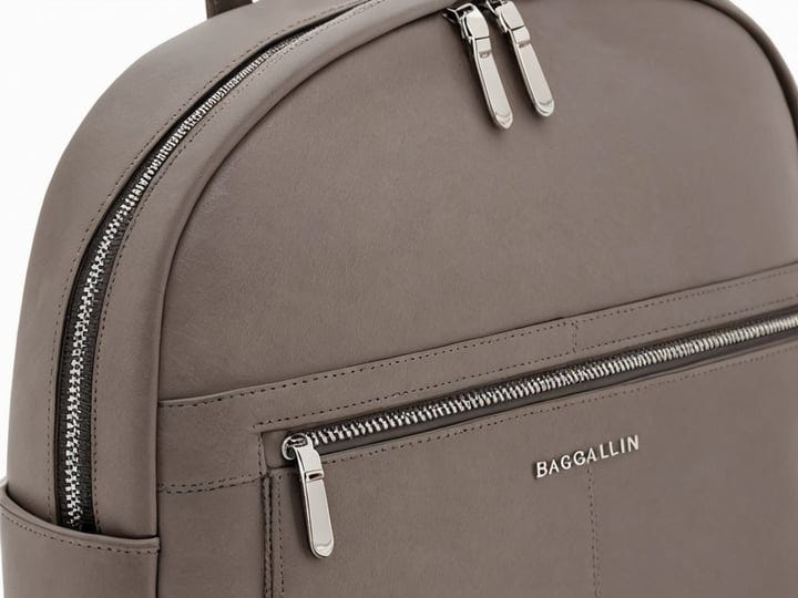 Baggallini-Backpack-2