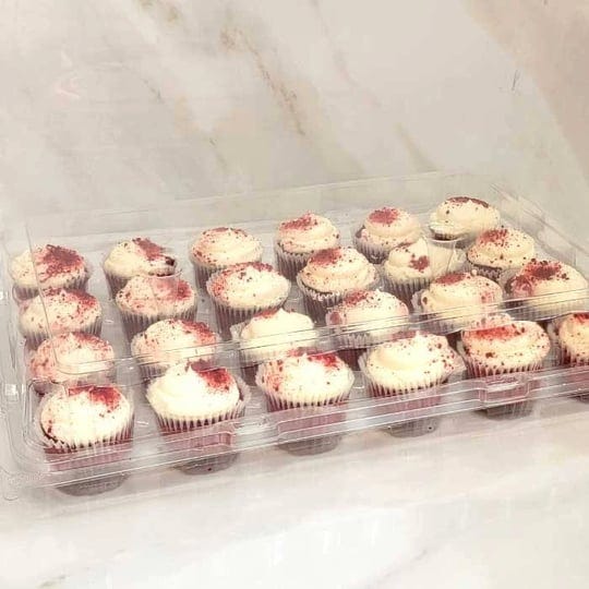 24-mini-cupcake-container-100-case-1