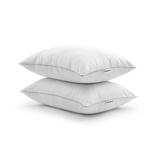 beautyrest-natural-comfort-bed-pillow-2-pack-down-alternative-standard-queen-1