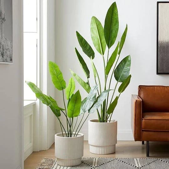 faux-potted-bird-of-paradise-plant-6-west-elm-1