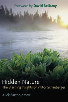 hidden-nature-614984-1