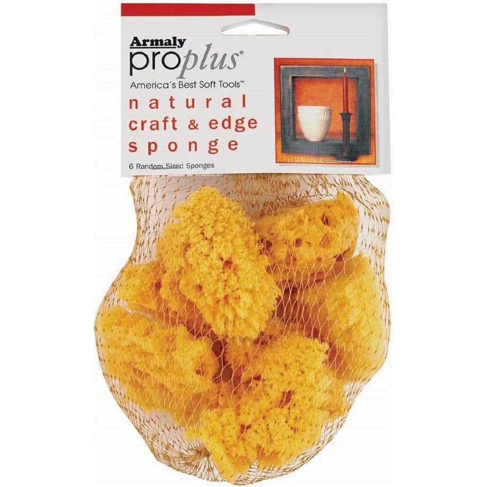 Proplus 6-Pack Craft Sponges for Textured Paint Finishes | Image