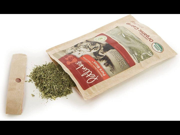 pure-bliss-organic-catnip-1