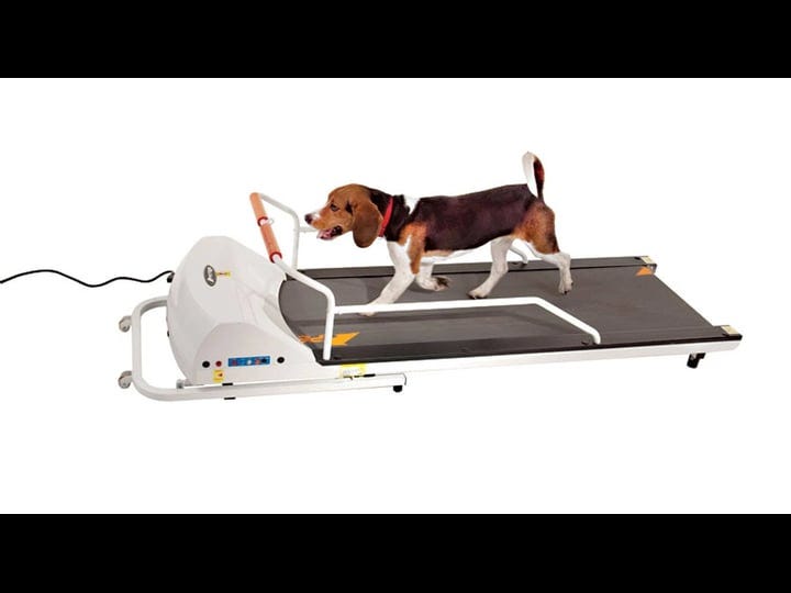 petrun-pr720f-dog-treadmill-gopet-1