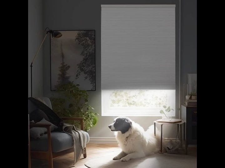 cordless-cellular-shades-blackout-23-inch-white-cellular-blinds-for-windows-mini-free-stop-honeycomb-1