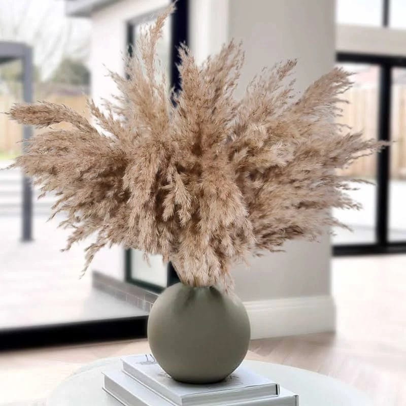 HUMINBO 30-Pcs Dried Pampas Grass Decorations for Fall Home Decorations | Image