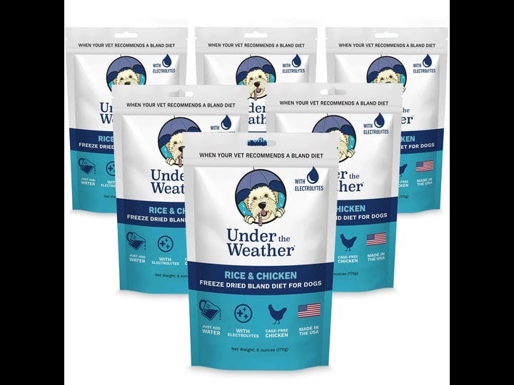 chicken-rice-bland-diet-for-dogs-6-pack-1