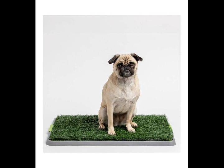 dog-potty-patch-green-1