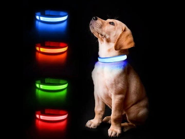 masbrill-led-dog-collars-flashing-light-up-dog-collar-rechargeable-and-safety-night-glowing-dog-coll-1