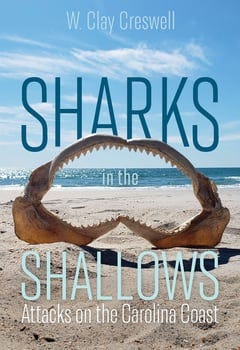 sharks-in-the-shallows-1827375-1