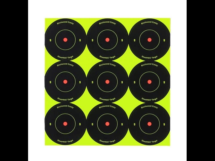 birchwood-casey-target-shoot-n-c-2-bullseye-108-targets-1