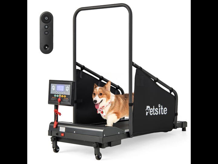 petsite-dog-treadmill-for-small-medium-dogs-1