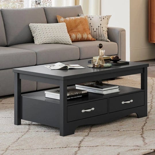 hulett-coffee-table-with-storage-the-twillery-co-color-black-1