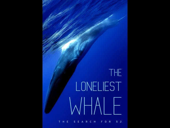 the-loneliest-whale-the-search-for-52-tt2401814-1