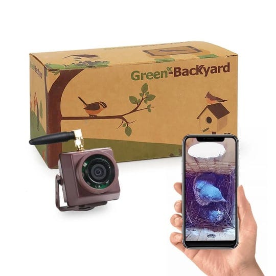 wifi-bird-house-camera-1