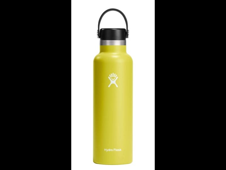 hydro-flask-standard-mouth-21oz-cactus-1