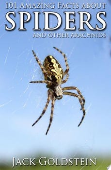 101-amazing-facts-about-spiders-83205-1