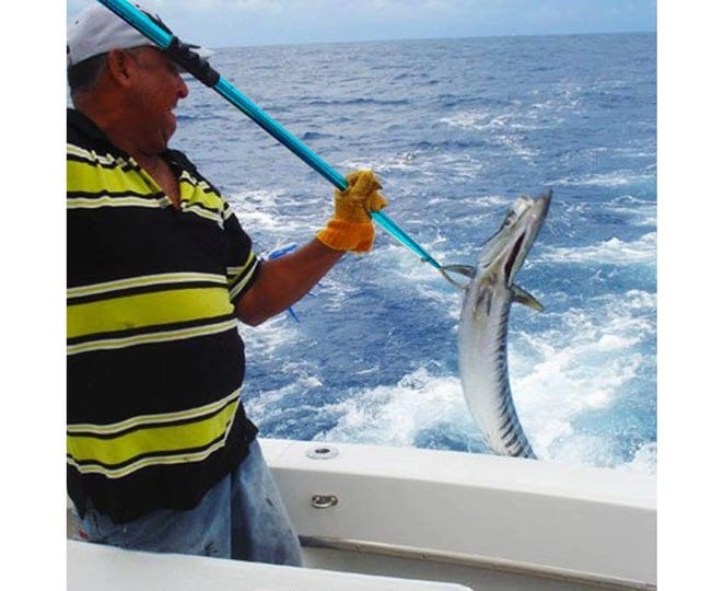 sanlike-telescopic-fish-gaff-with-stainless-sea-fishing-spear-hook-tackle-soft-handle-aluminium-allo-1