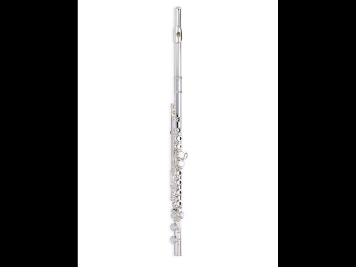 jean-paul-fl-220-flute-with-case-1