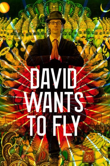 david-wants-to-fly-925171-1