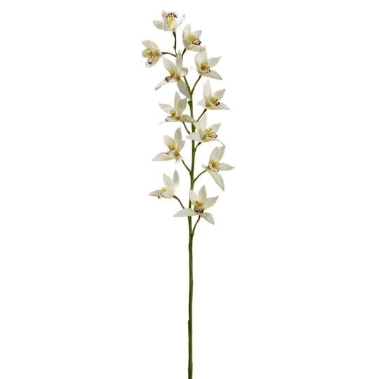 ashland-tropical-cymbidium-stem-36-in-1