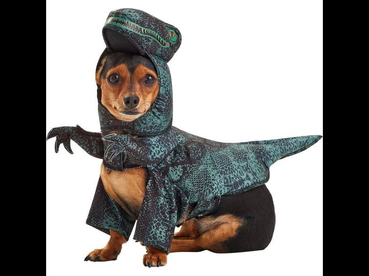 california-costumes-pupasaurus-rex-dog-costume-1