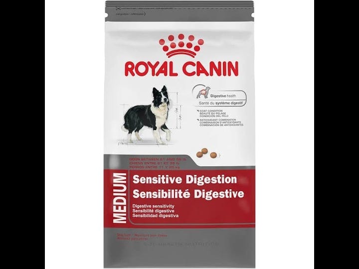 royal-canin-17-lbs-digestive-medium-dry-care-dog-food-1