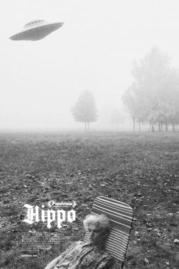 hippo-4195372-1