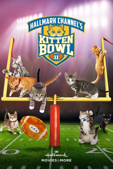 kitten-bowl-ii-2421345-1