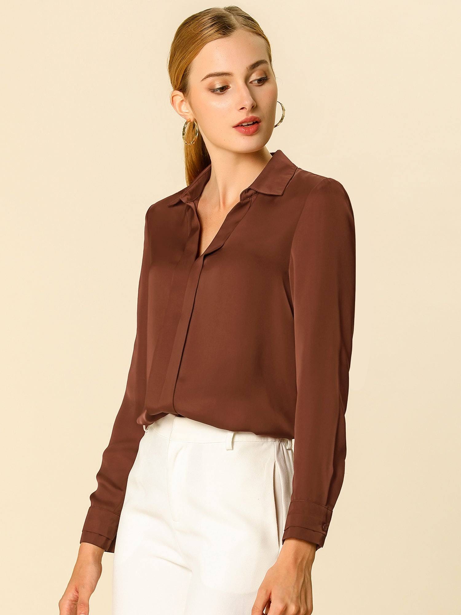 Elegant Brown V-Neck Long Sleeve Shirt for Work | Image