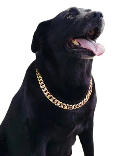 pp-color-gold-chain-dog-collar-3-4-width-cuban-link-dog-necklace-cute-fashion-pet-collar-for-pit-bul-1