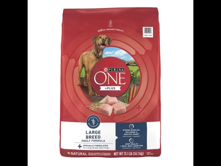 purina-one-smartblend-large-breed-formula-adult-dry-dog-food-31-1-lb-bag-1