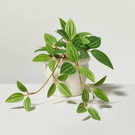 8-mini-faux-ivy-plant-hearth-hand-with-magnolia-1
