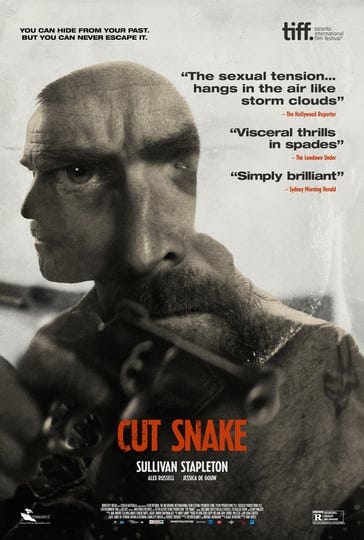 cut-snake-4482576-1